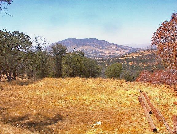 38176 Cardinal Lane Squaw Valley, CA 93675 - Photo 22 of 38