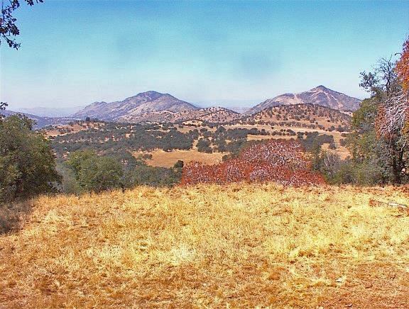 38176 Cardinal Lane Squaw Valley, CA 93675 - Photo 24 of 38