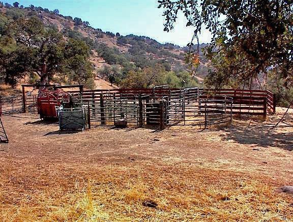 38176 Cardinal Lane Squaw Valley, CA 93675 - Photo 25 of 38