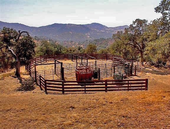 38176 Cardinal Lane Squaw Valley, CA 93675 - Photo 26 of 38