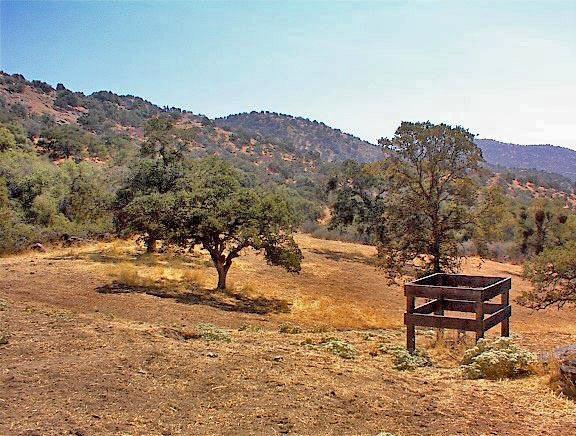 38176 Cardinal Lane Squaw Valley, CA 93675 - Photo 27 of 38