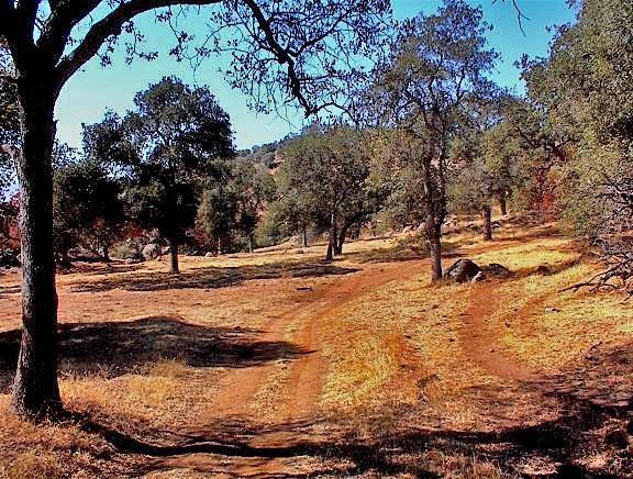 38176 Cardinal Lane Squaw Valley, CA 93675 - Photo 28 of 38