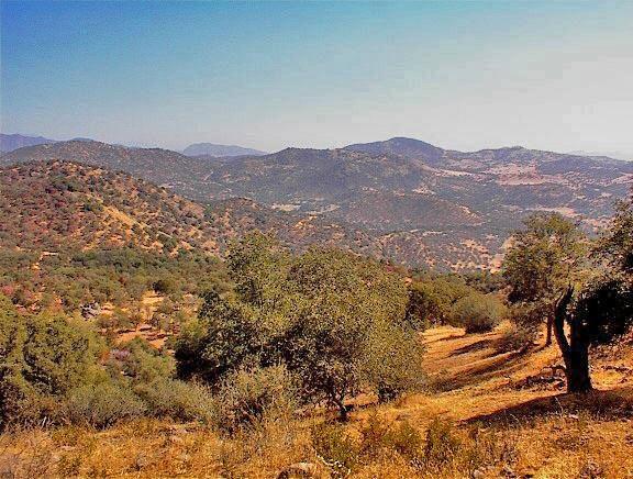 38176 Cardinal Lane Squaw Valley, CA 93675 - Photo 30 of 38