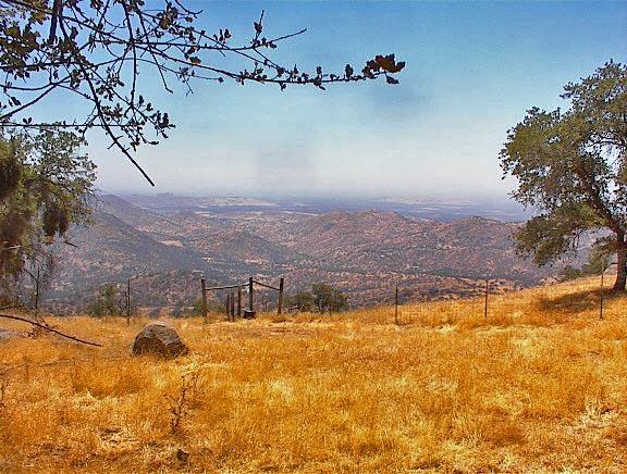 38176 Cardinal Lane Squaw Valley, CA 93675 - Photo 4 of 38