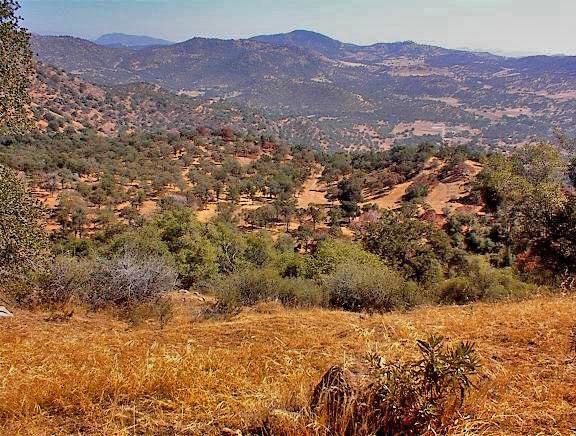 38176 Cardinal Lane Squaw Valley, CA 93675 - Photo 31 of 38