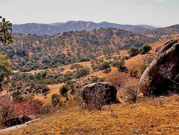 38176 Cardinal Lane Squaw Valley, CA 93675 - Photo 35 of 38