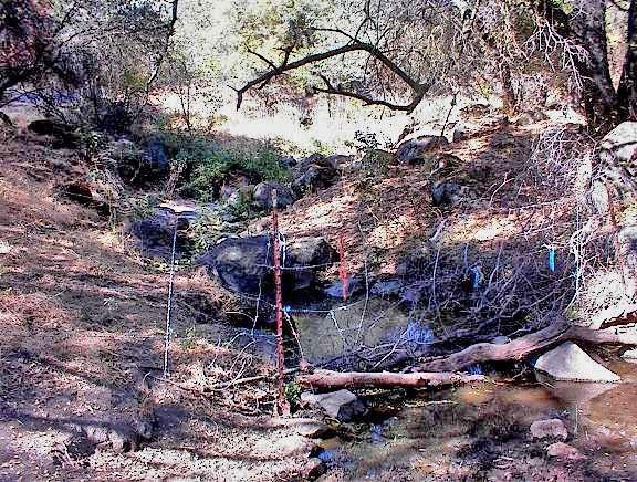 38176 Cardinal Lane Squaw Valley, CA 93675 - Photo 36 of 38