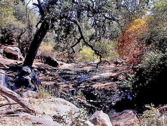 38176 Cardinal Lane Squaw Valley, CA 93675 - Photo 37 of 38