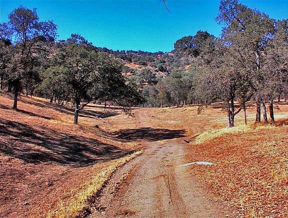 38176 Cardinal Lane Squaw Valley, CA 93675 - Photo 38 of 38