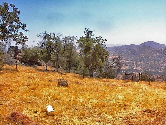 38176 Cardinal Lane Squaw Valley, CA 93675 - Photo 9 of 38