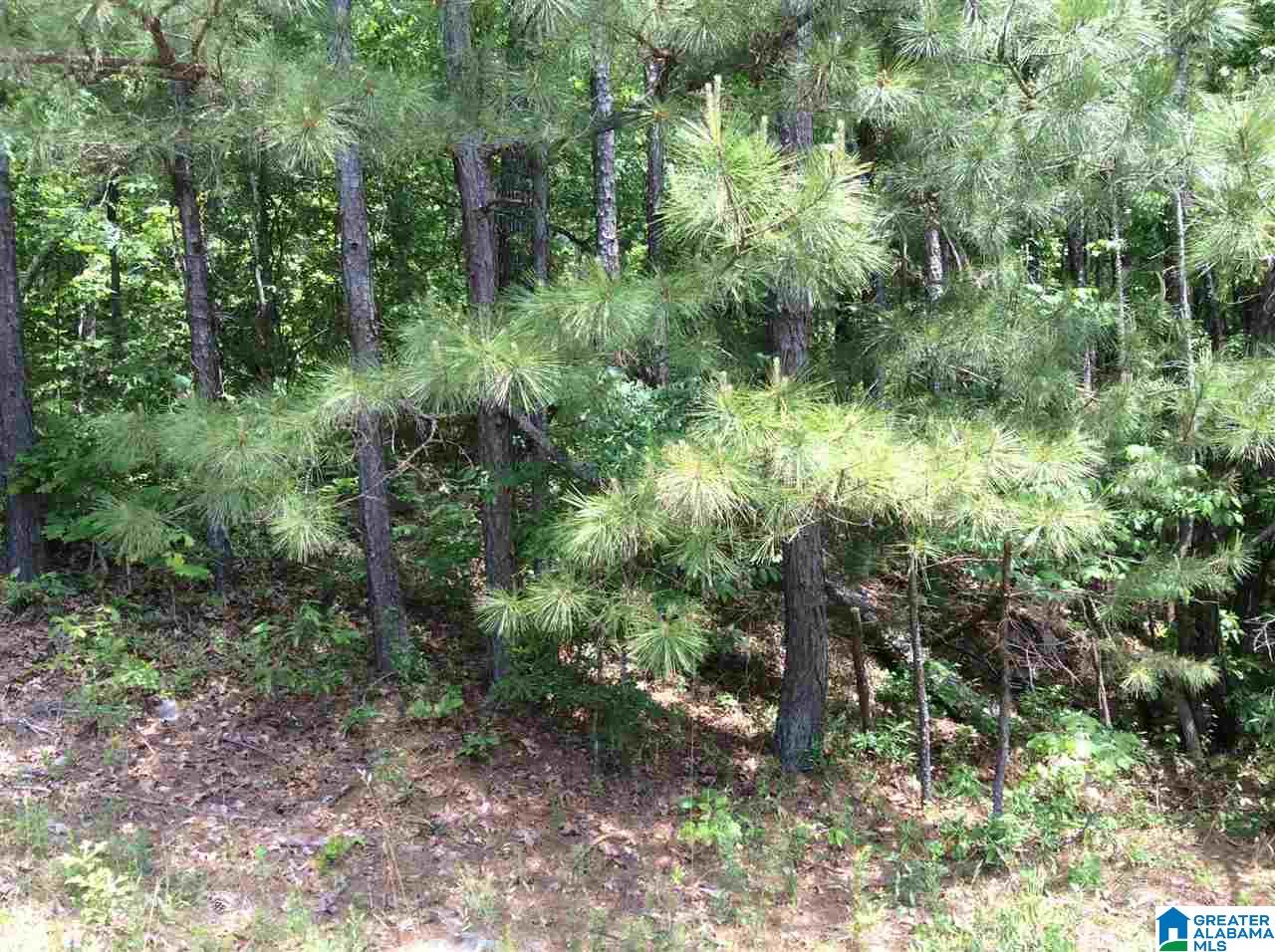 Hoyt Hill Road, Unit 1 Ashville, AL 35953 - Photo 2 of 13