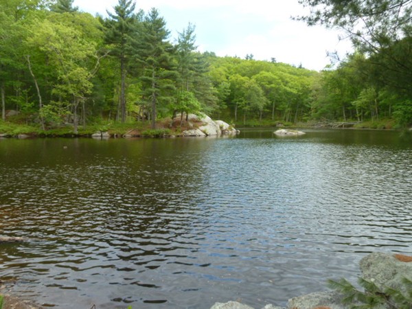 12 Mill Road Harvard, MA 01451 - Photo 4 of 8