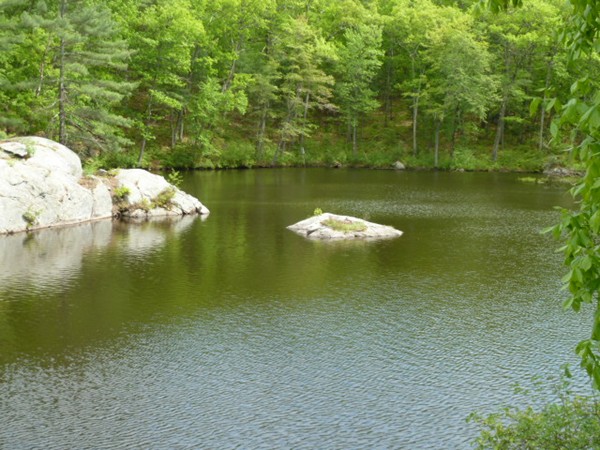 12 Mill Road Harvard, MA 01451 - Photo 6 of 8