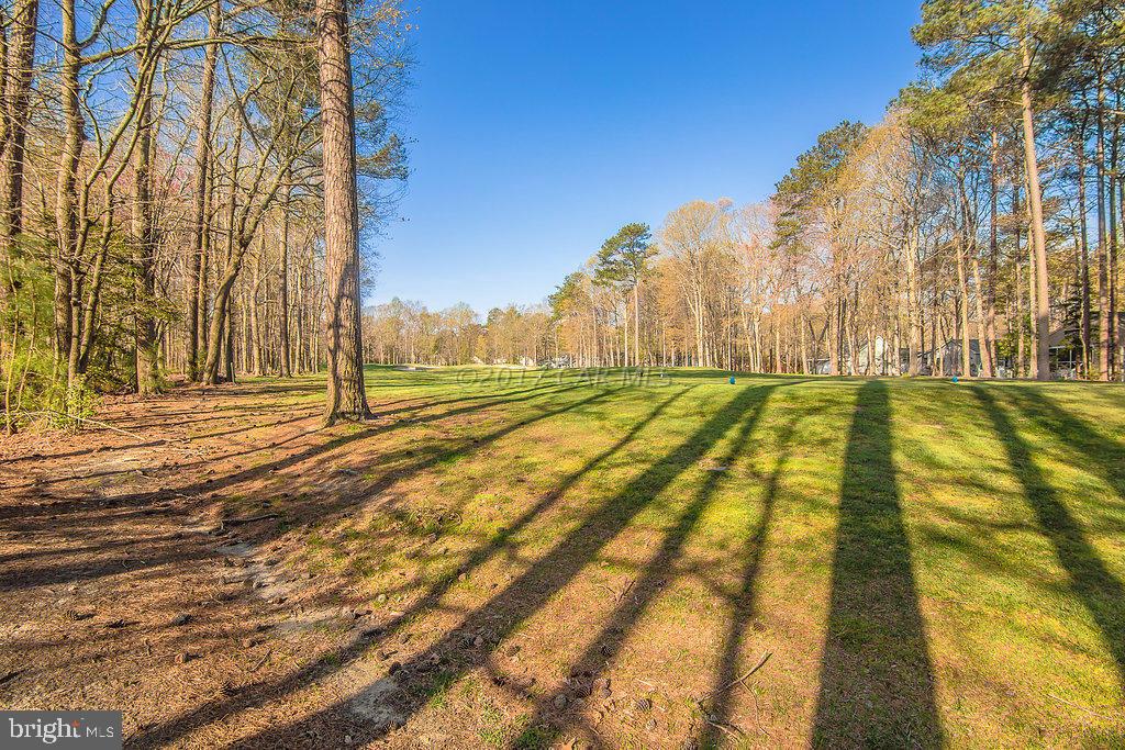 61 Drawbridge Road Ocean Pines, MD 21811 - Photo 54 of 62