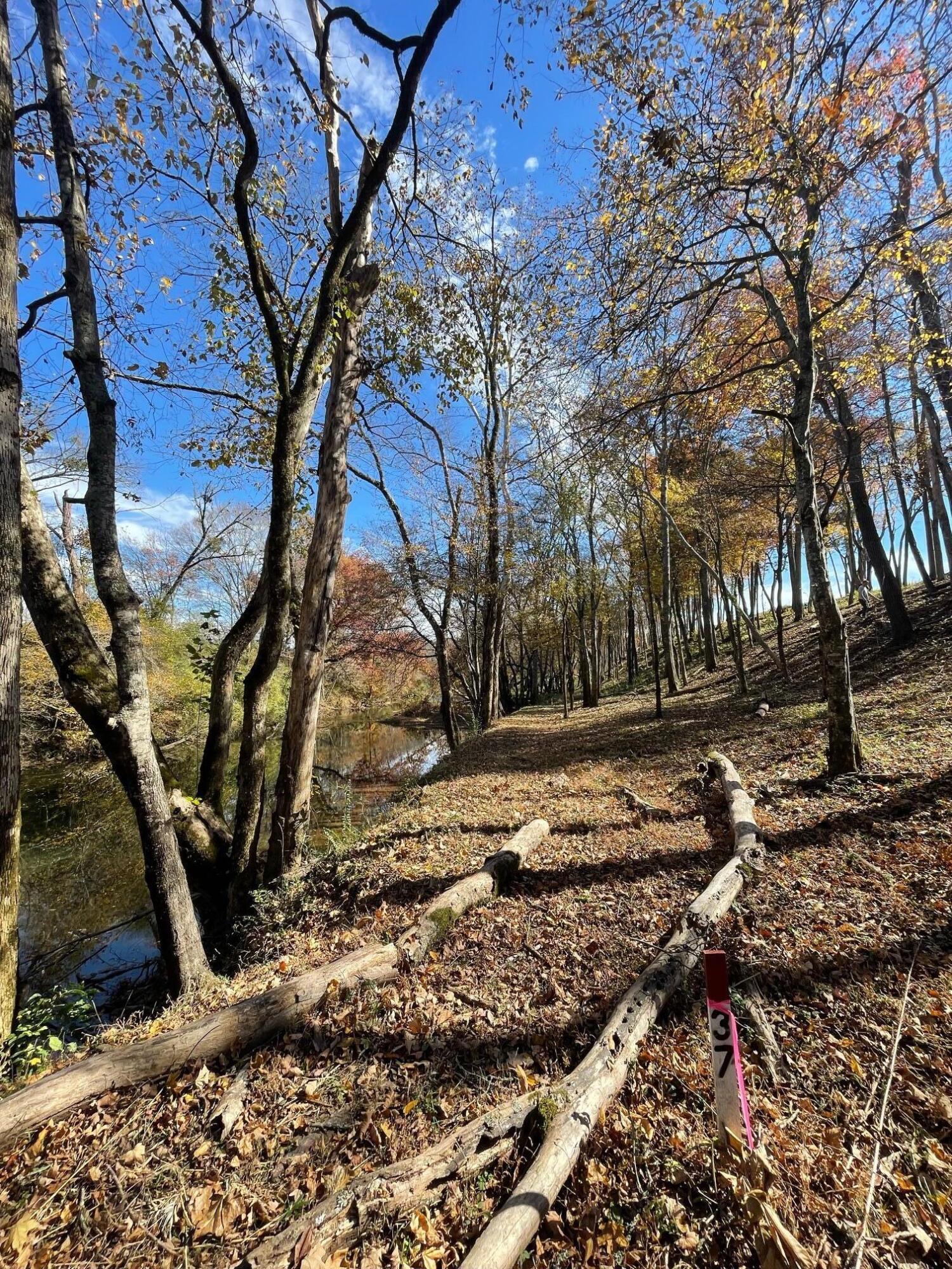 0 River Ridge Drive, Unit LOT 38 Dunlap, TN 37327 - Photo 6 of 8 20240521230447985658000000-o