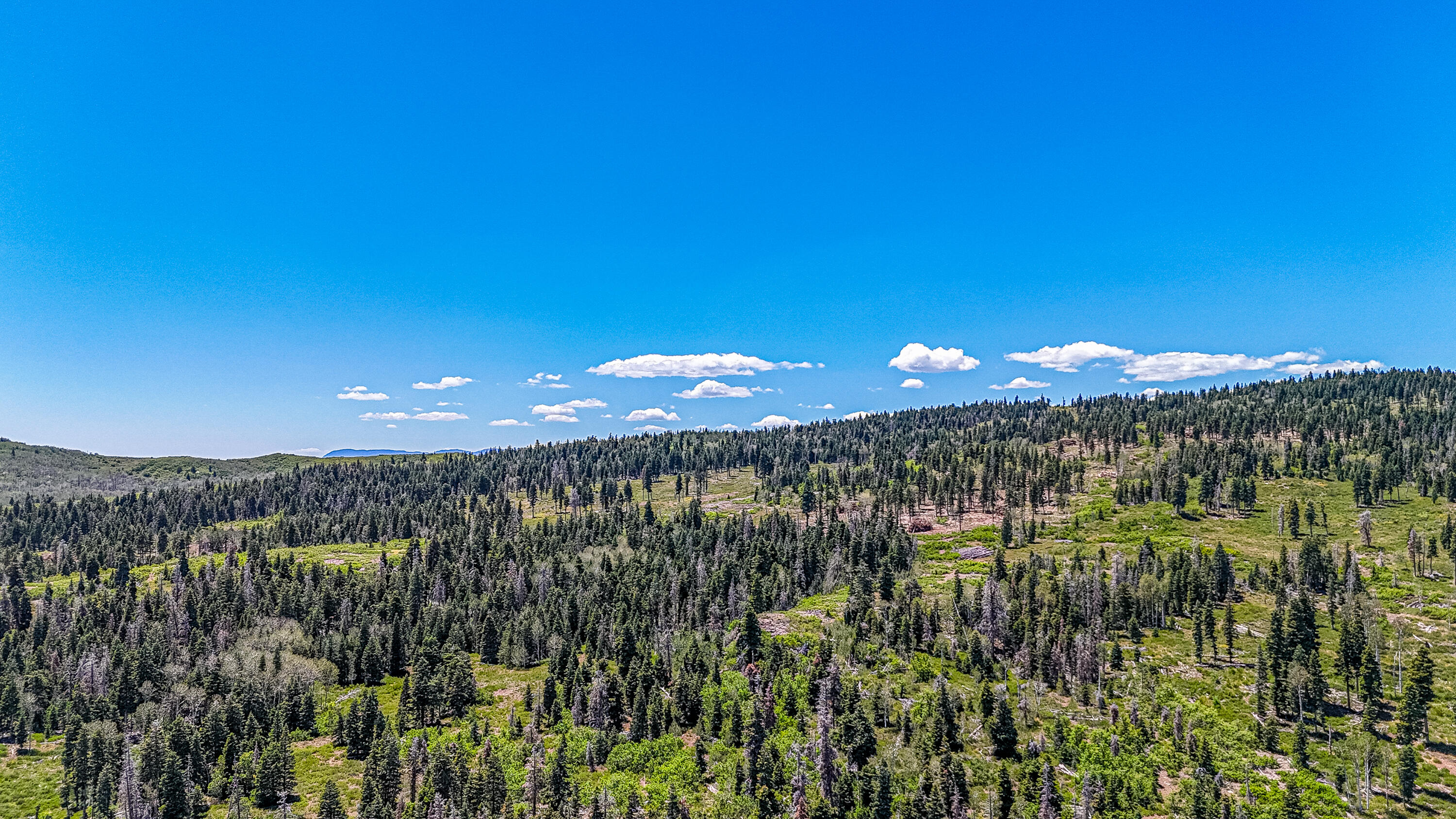 Null Skyview Lane, Unit LOT #21 Springdale, UT 84767 - Photo 6 of 6 Kolob lots FLEX-17