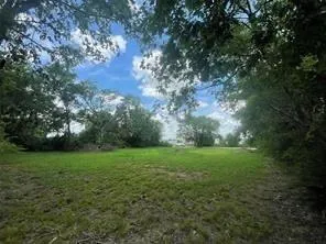 a view of a lush green space