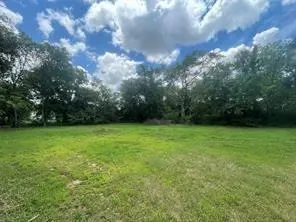 a view of yard with green space