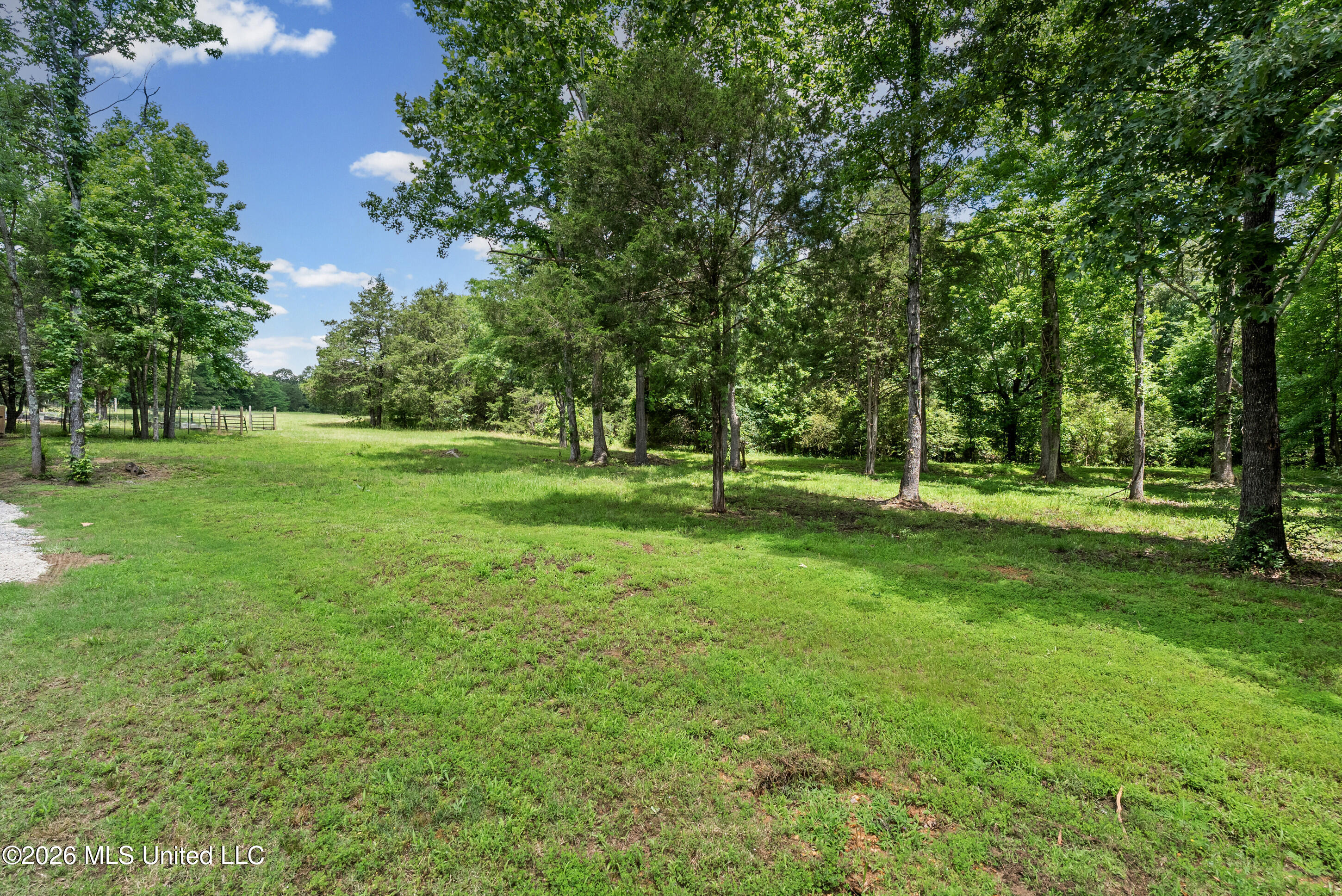 479 Hope Road Coldwater, MS 38618 - Photo 55 of 72 55_dsc01223_print