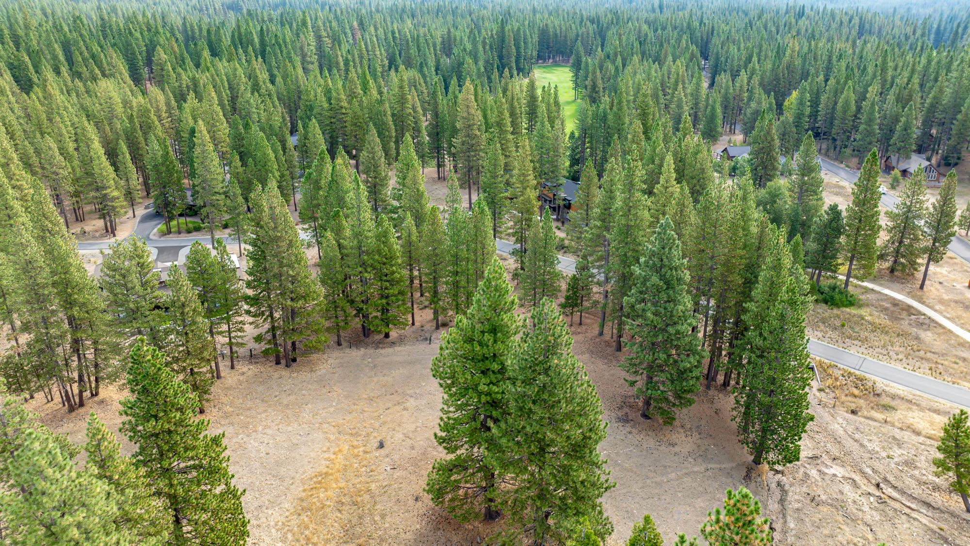 503 Redtail Loop Road Clio, CA 96106 - Photo 12 of 38 Gallery Image 12