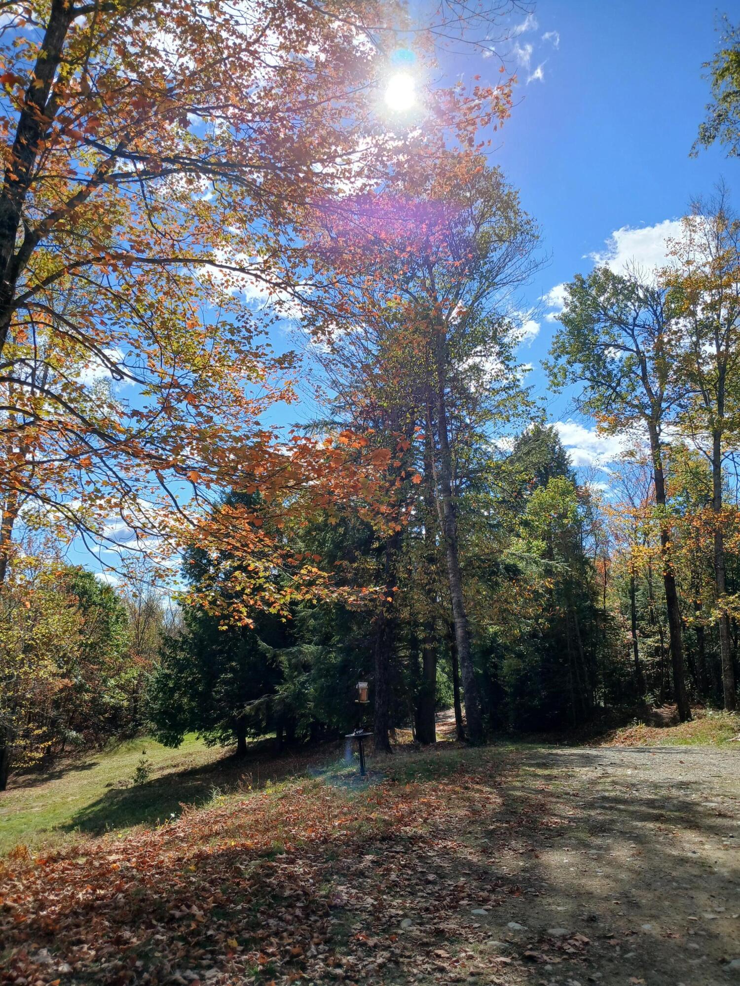 113 Brown Hill Road Anson, ME 04911 - Photo 6 of 22 20251009_115103