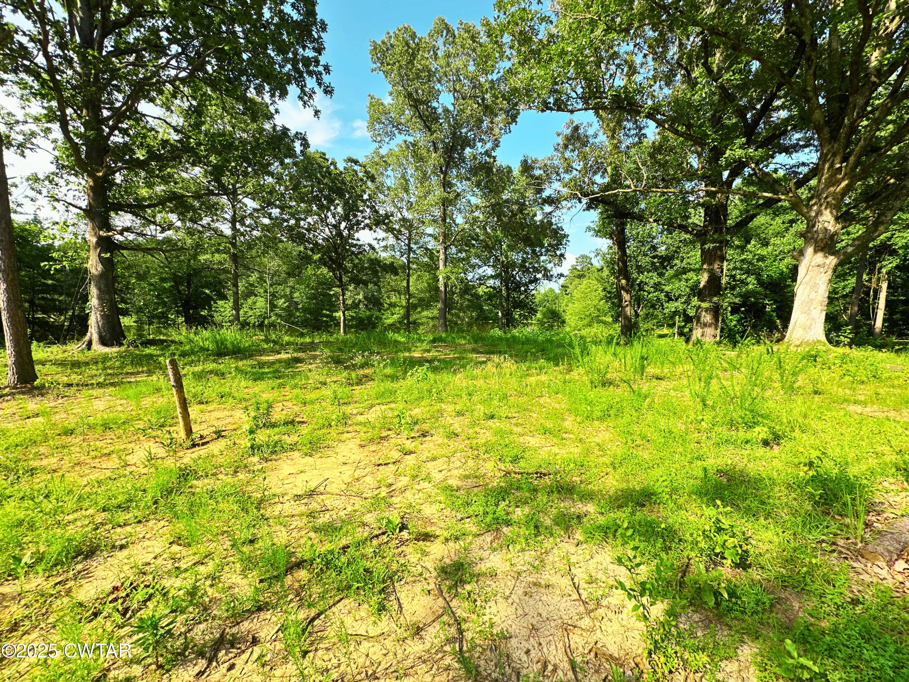 6335 Lake Hardeman Road Saulsbury, TN 38067 - Photo 6 of 9 Photo Jun 23 2025, 4 48 20 PM - Edited -