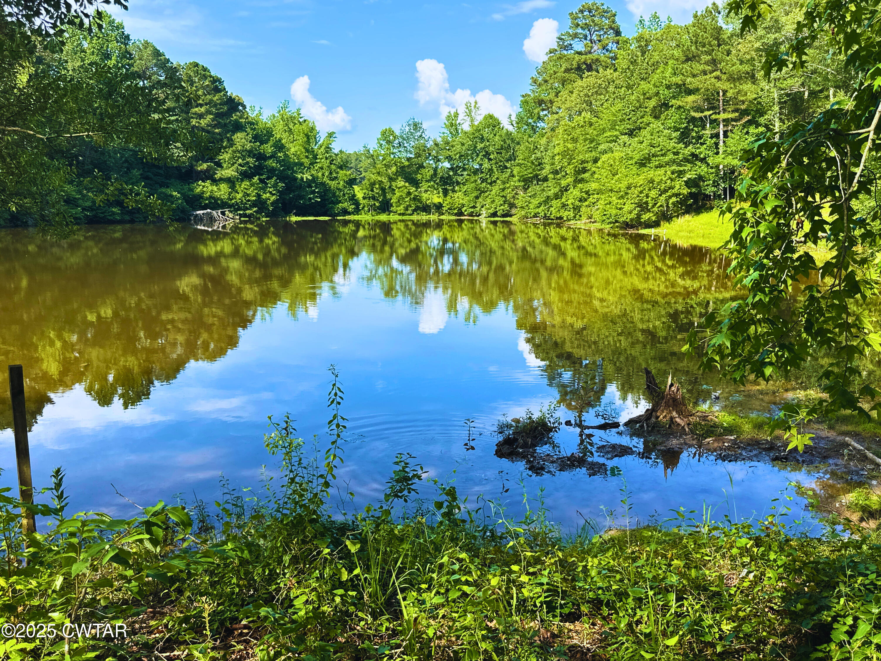 6335 Lake Hardeman Road Saulsbury, TN 38067 - Photo 8 of 9 Photo Jun 23 2025, 4 51 24 PM - Edited -