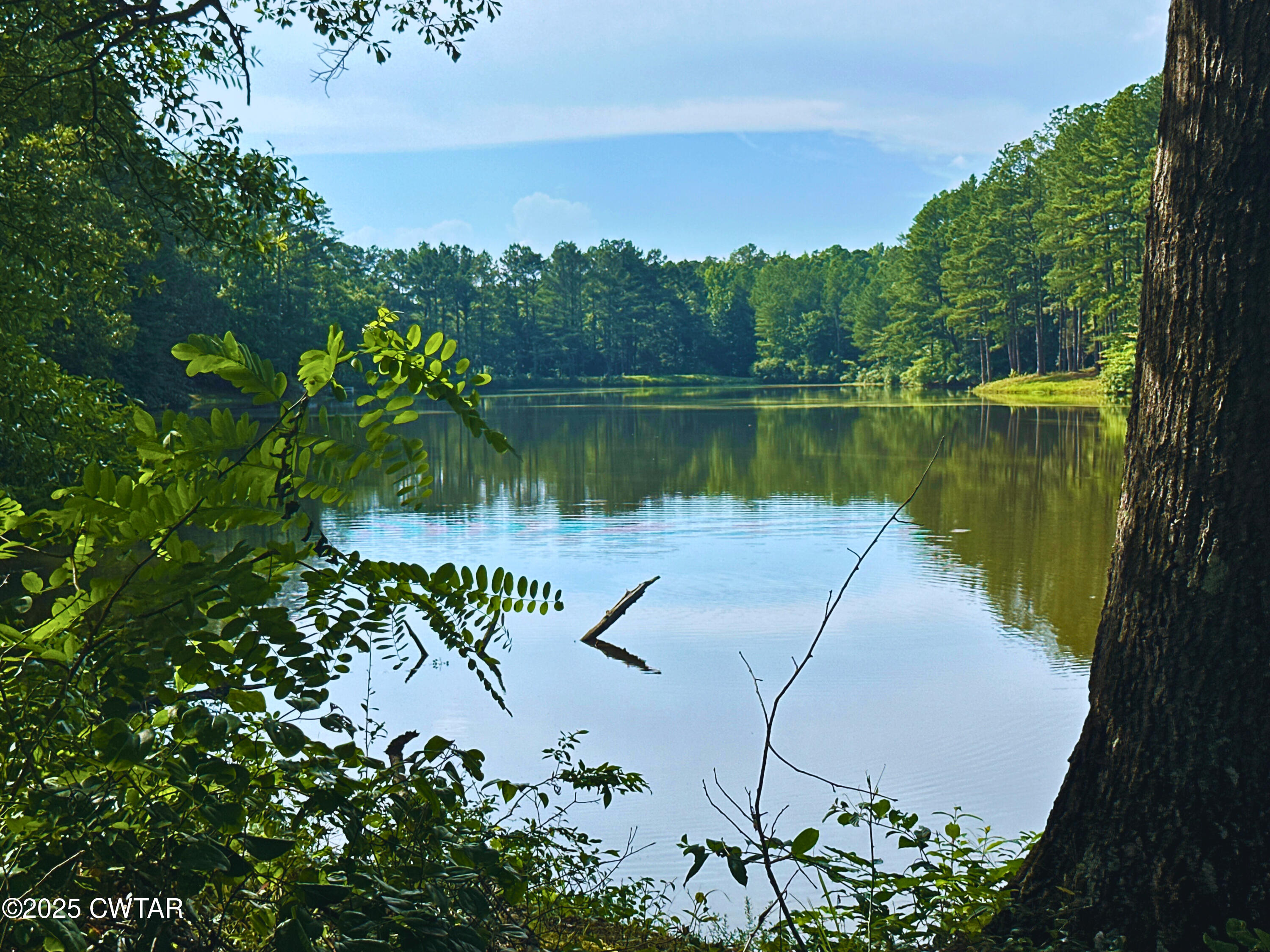 6335 Lake Hardeman Road Saulsbury, TN 38067 - Photo 9 of 9 Photo Jun 23 2025, 4 51 18 PM - Edited -