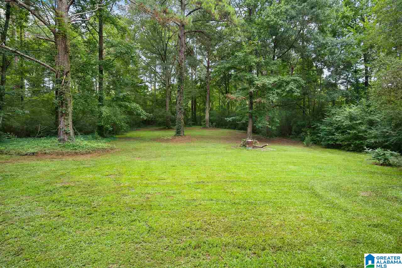 1428 Lake Joyce Road Moody, AL 35004 - Photo 30 of 31