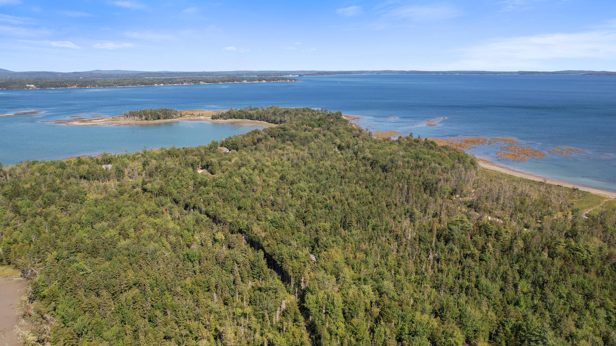 Lot # North Road Lamoine, ME 04605 - Photo 8 of 13 side view