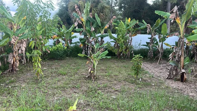 a view of a lake view