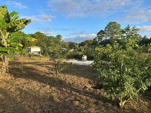 a view of a garden with plants