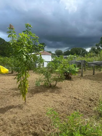 a view of a lake with a yard