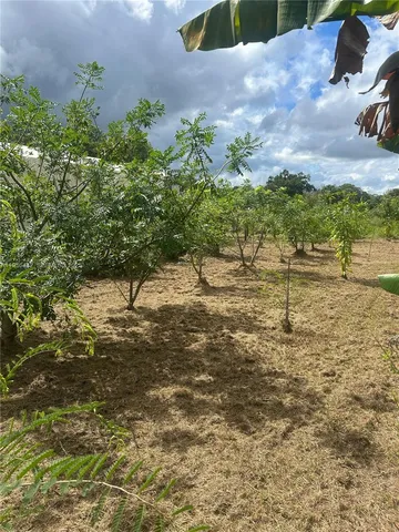 a view of a outdoor space