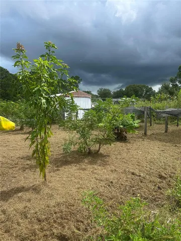 a picture of a field