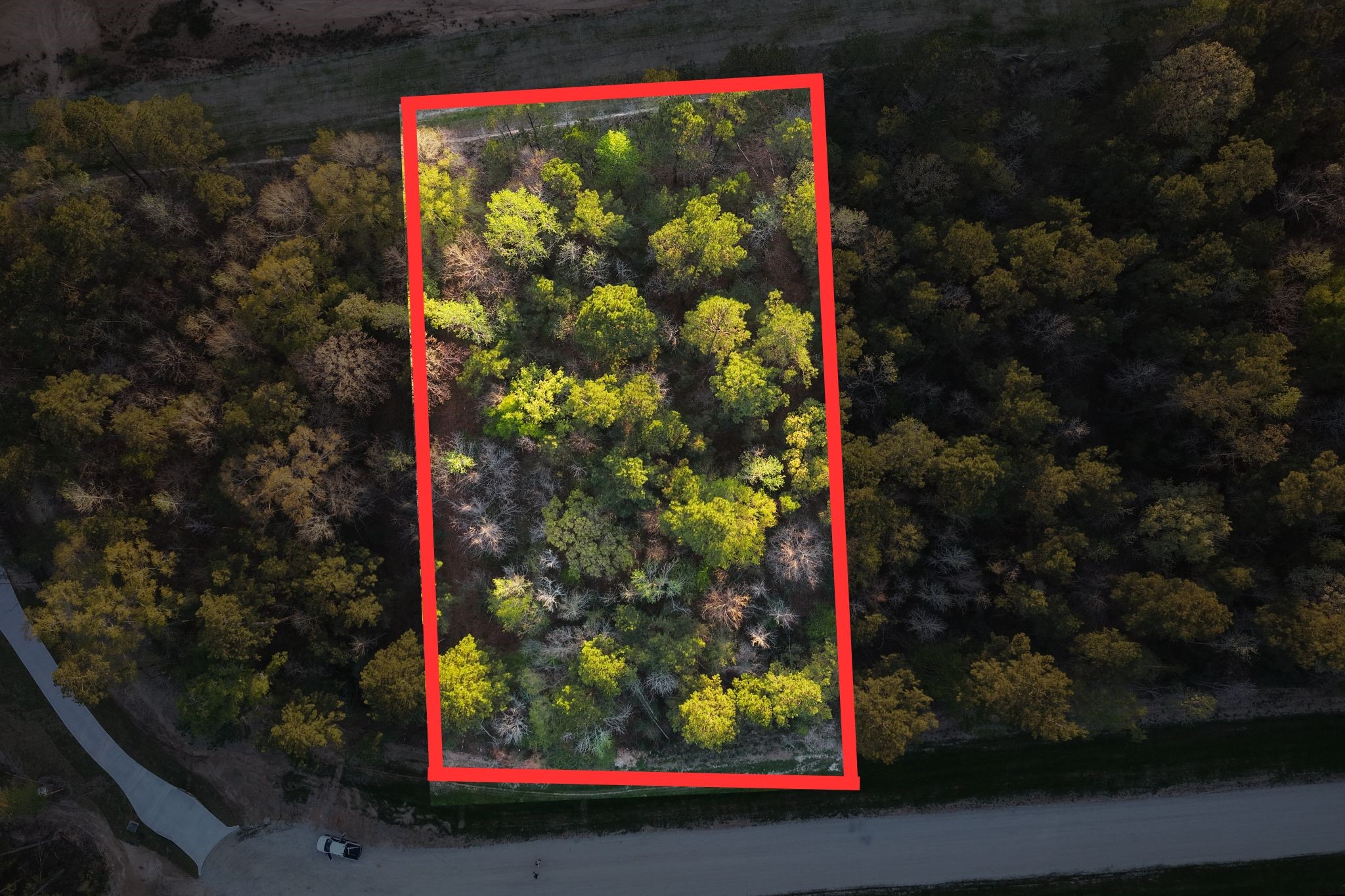 186 Bunkhouse Road New Waverly, TX 77358 - Photo 5 of 14