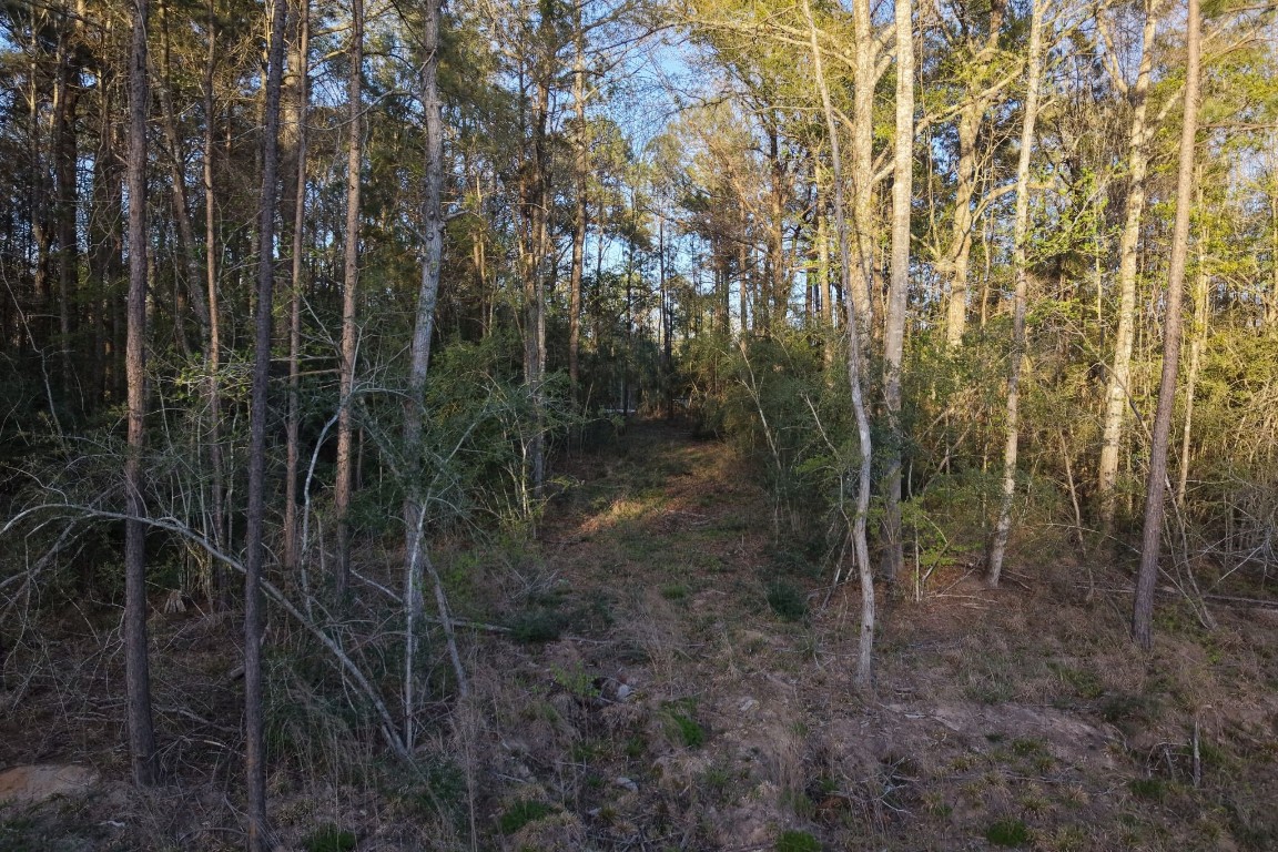 186 Bunkhouse Road New Waverly, TX 77358 - Photo 8 of 14