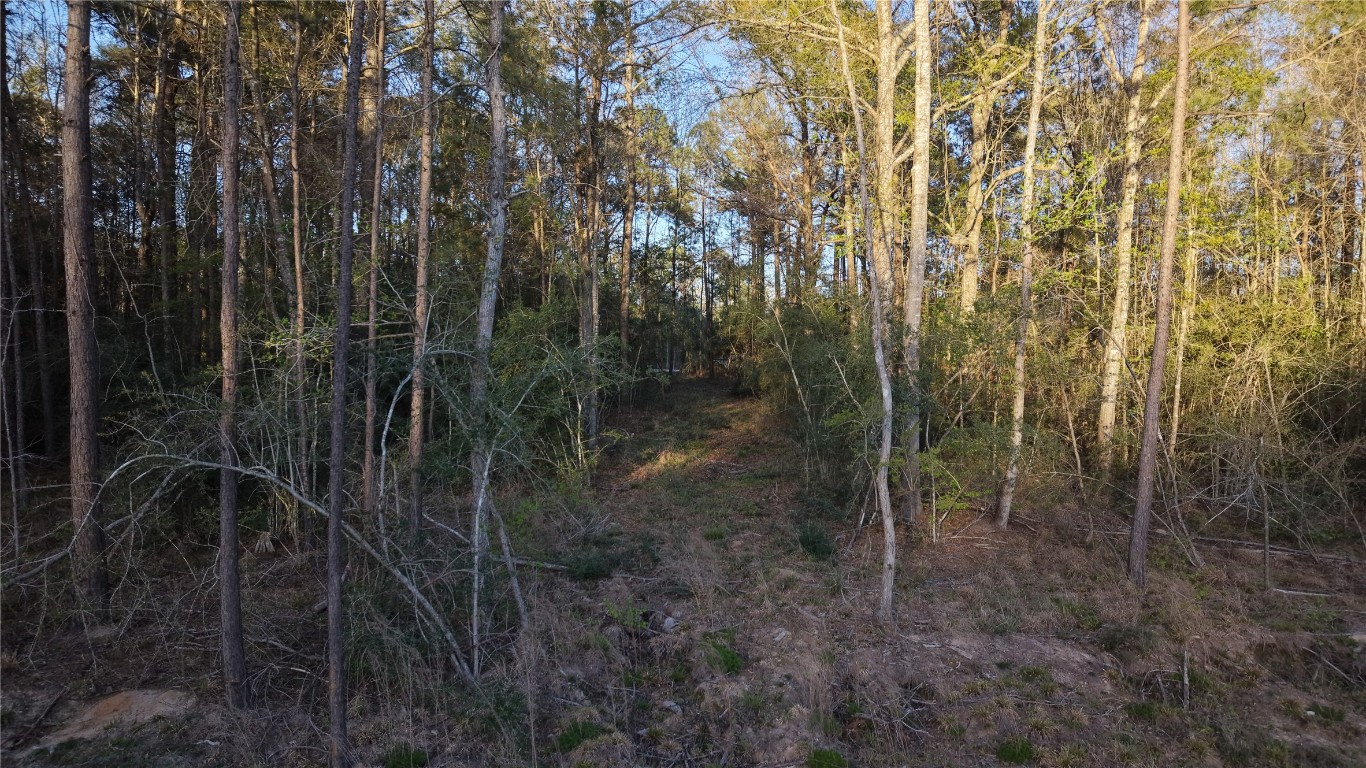 186 Bunkhouse Road New Waverly, TX 77358 - Photo 10 of 14