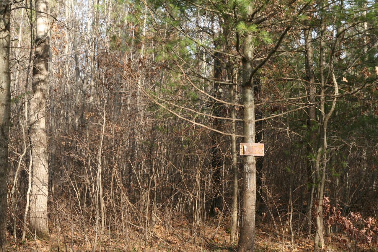 Lot 11 Lyannas Road Lake Tomahawk, WI 54539 - Photo 2 of 2 Gallery Image 2
