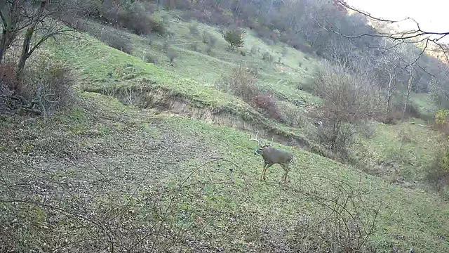 $2,900,000 | 16884 County Highway South, Hickory Grove, WI 53805