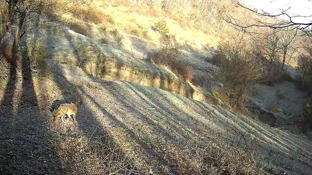 $2,900,000 | 16884 County Highway South, Hickory Grove, WI 53805