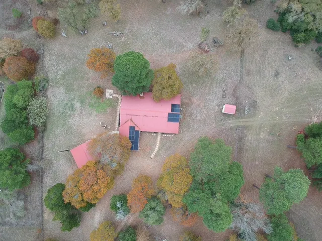 a view of a lake with a forest