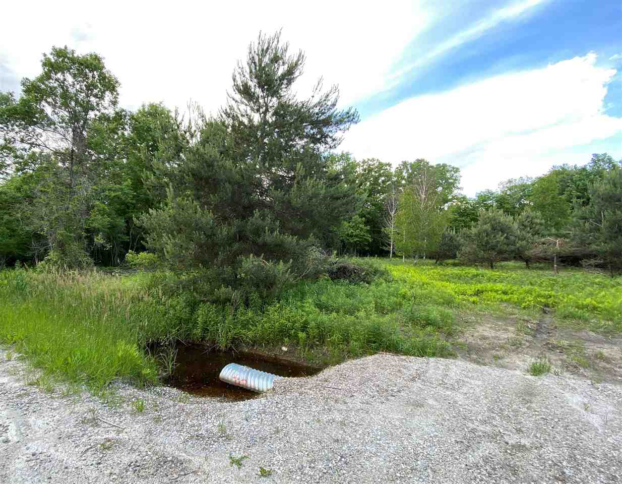Puttygut Road Casco, MI 48064 - Photo 3 of 13 Gallery Image 3