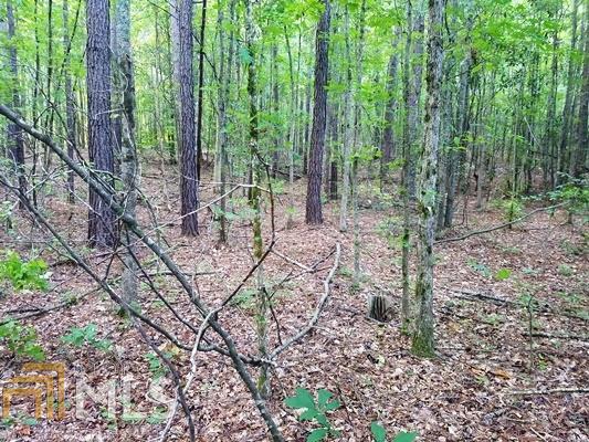 0 Bertus Hunter Road, Unit LL42 Senoia, GA 30276 - Photo 1 of 1 Gallery Image 1