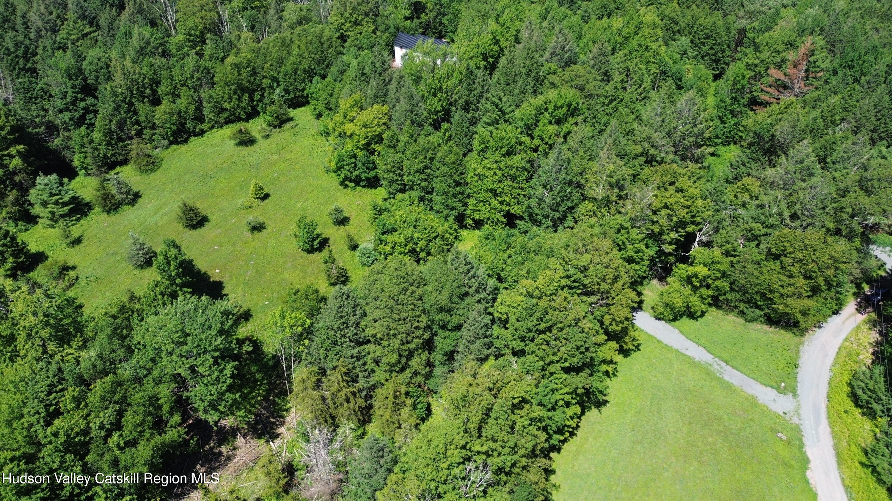 0 Van Etten Road Prattsville, NY 12468 - Photo 2 of 34 DJI_0769