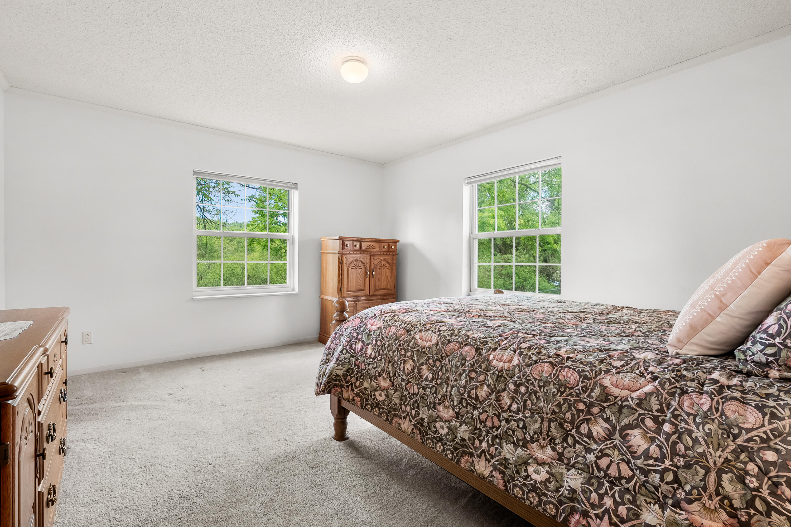 2038 East Bristol Road Dowling, MI 49050 - Photo 18 of 56 Bristol Rd E 2038 Dowling 49050-23
