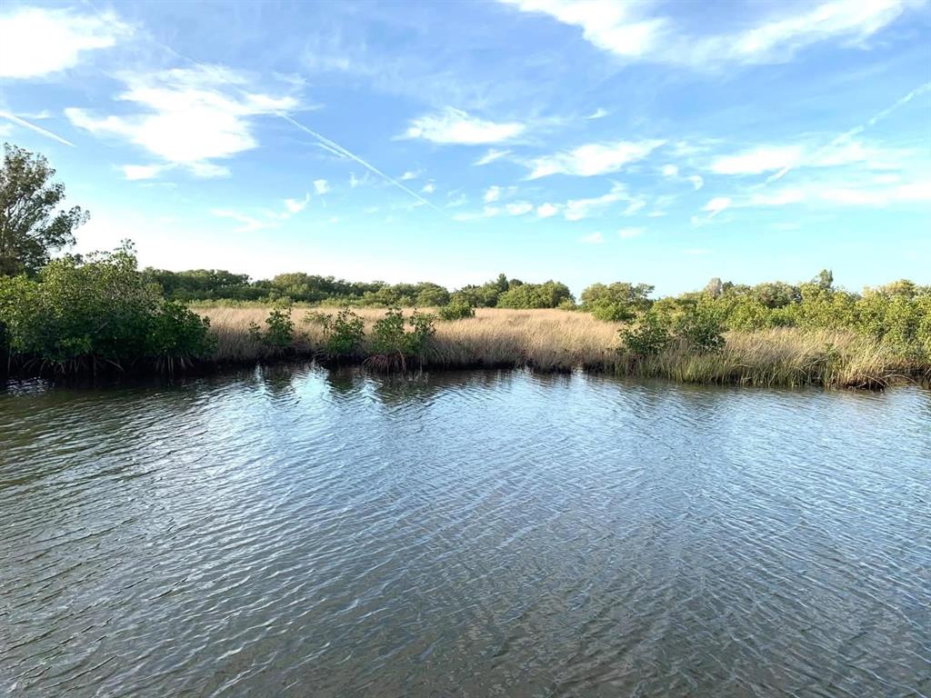 6733 Driftwood Drive Hudson, FL 34667 - Photo 2 of 9
