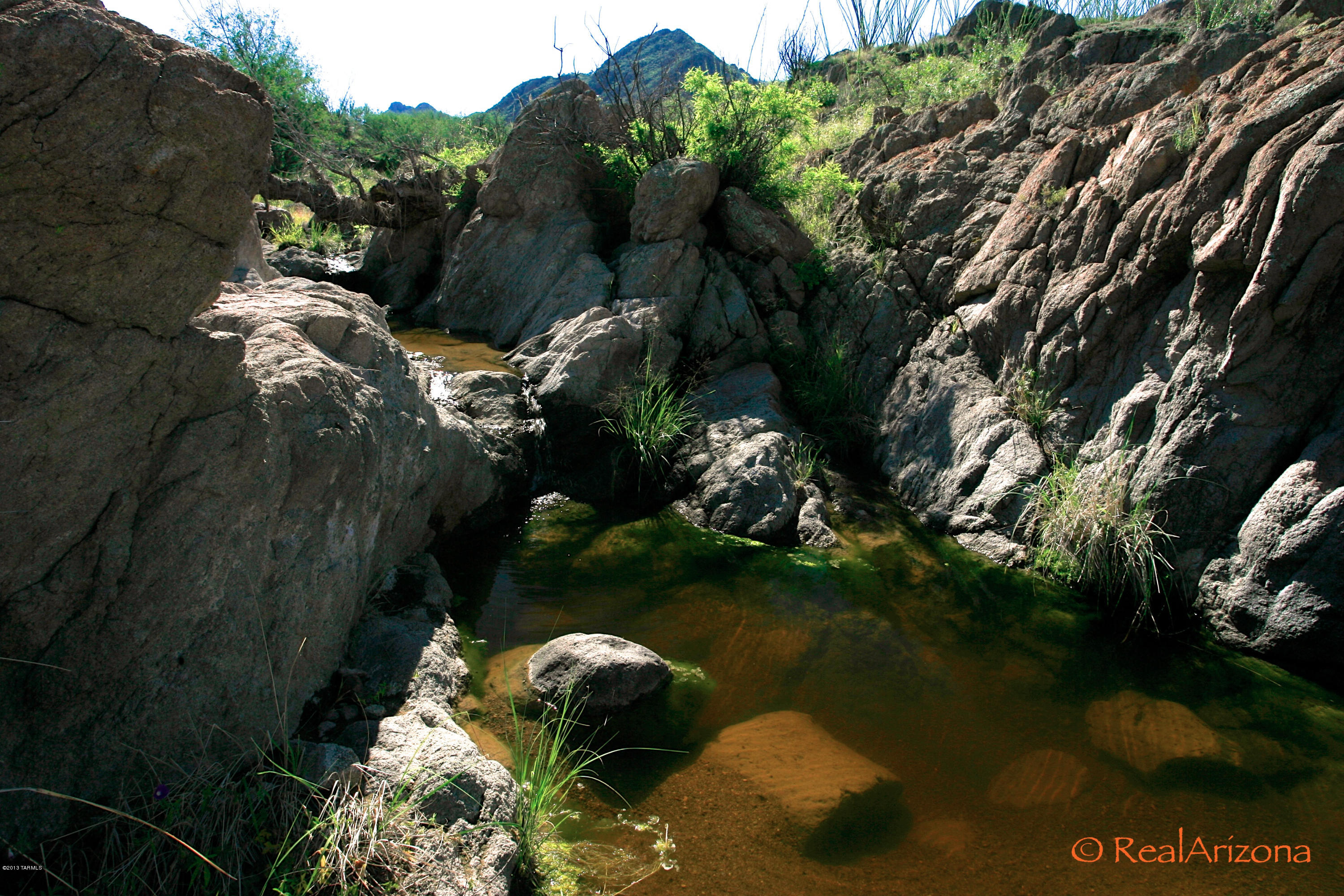 258 Grosvenor Road Rio Rico, AZ 85648 - Photo 16 of 20 Gallery Image 16