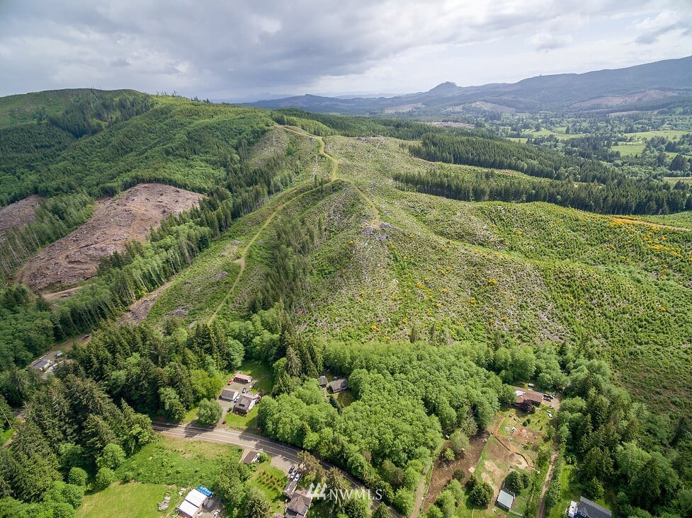 0 South Valley Road Naselle, WA 98638 - Photo 3 of 12 Gallery Image 3