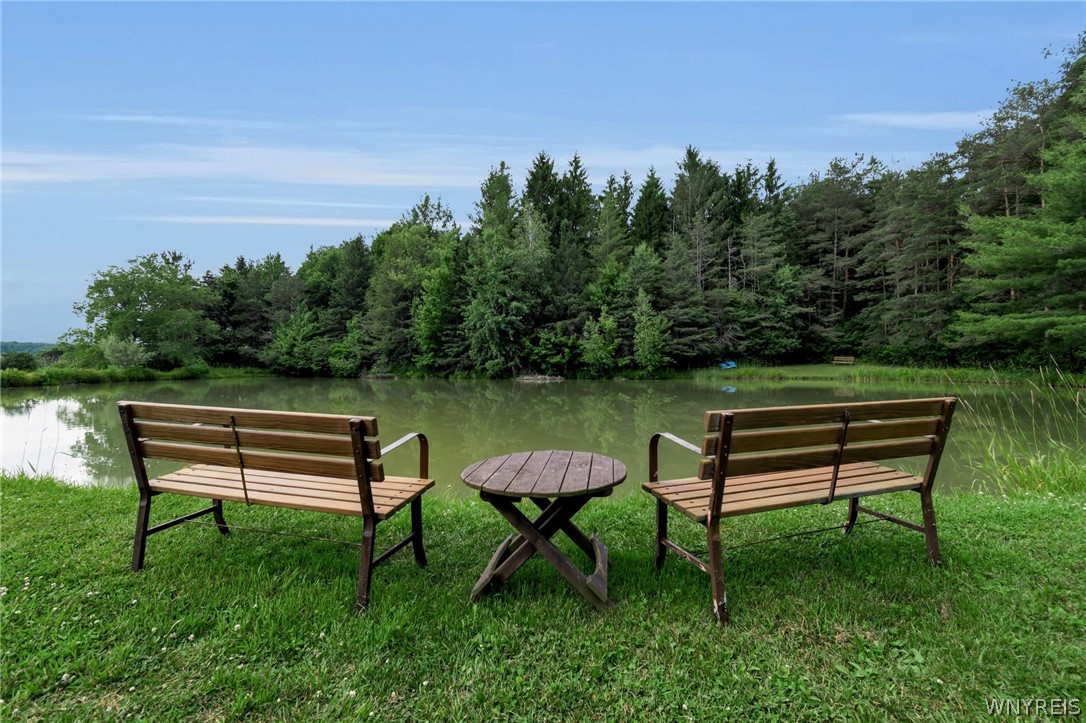 1510 Lyndon Center Road Lyndon, NY 14737 - Photo 37 of 50
